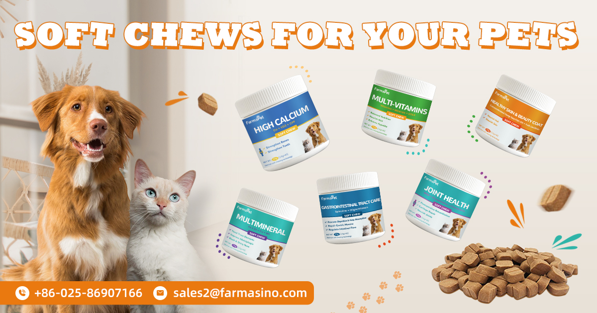 Joint care soft chew for pets