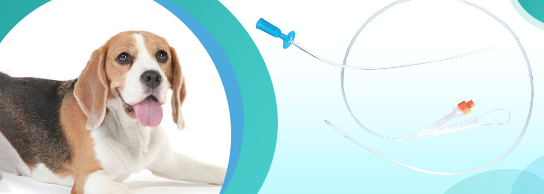 pets medical catheter specification