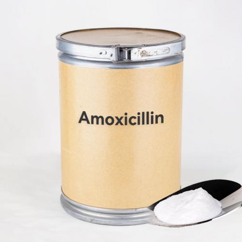 amoxicillin trihydrate dan amoxicillin