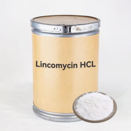 lincomycin hcl monohydrate