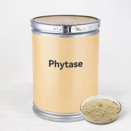 Phytase application