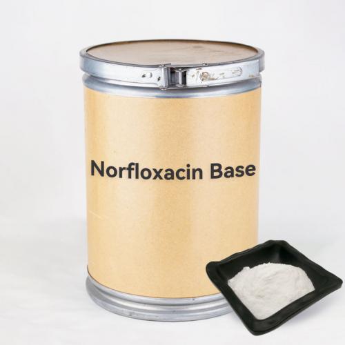Norfloxacin base price