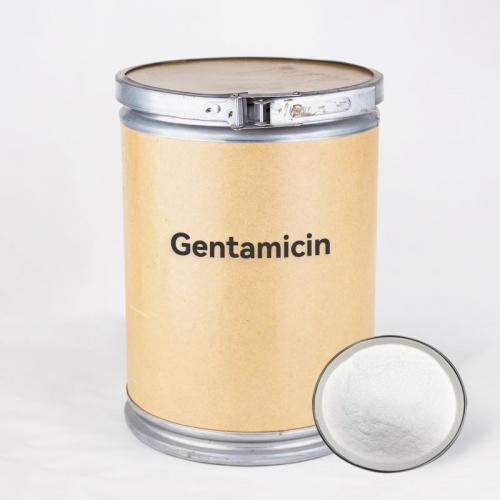 Gentamicin price