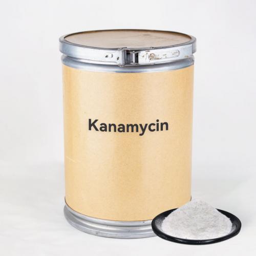 Kanamycin price