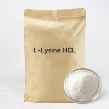 l lysine hydrochloride uses