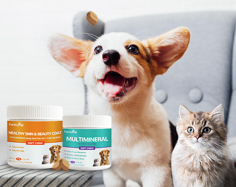 Pets Nutrition Supplements